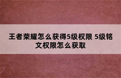 王者荣耀怎么获得5级权限 5级铭文权限怎么获取